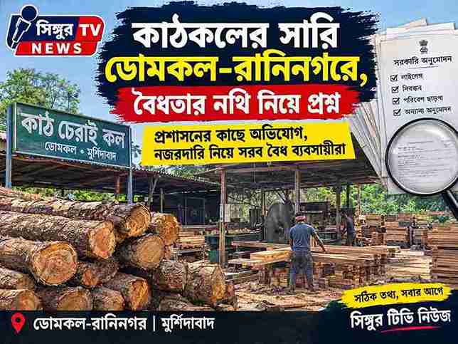 ডোমকল-রানিনগরে কাঠকলের সারি, বৈধতার নথি নিয়ে প্রশ্ন | মুর্শিদাবাদ