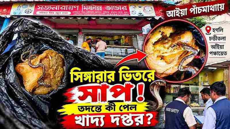 হুগলির চণ্ডীতলায় সিঙ্গারার ভিতরে সাপ! তদন্তে কী পেল খাদ্য দপ্তর?